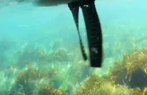  pedal kayak on reefs