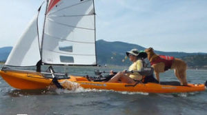 kayak sailing with dog